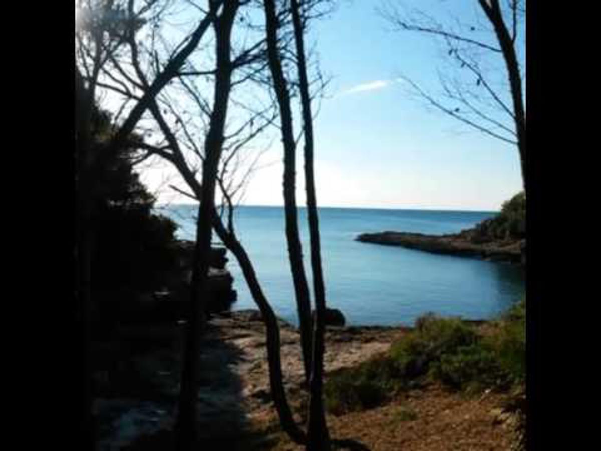 Innouthome Apartamento Andreu Llambrich L'Ametlla de Mar Exteriör bild